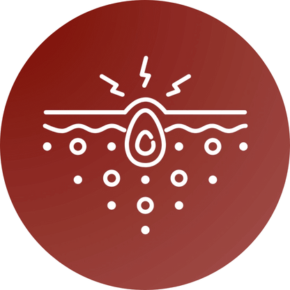 Sorelux Red Light Therapy Belt